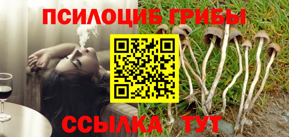Псилоцибиновые грибы прущие грибы Гудермес