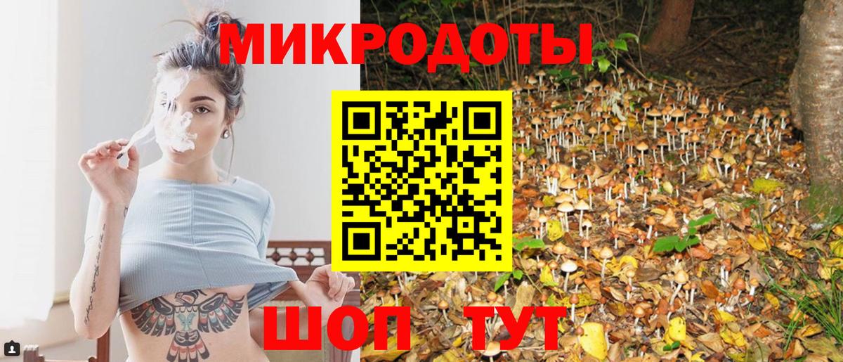 Гудермес  Псилоцибиновые грибы мицелий  Псилоцибиновые грибы Cubensis  Вход с VPN 